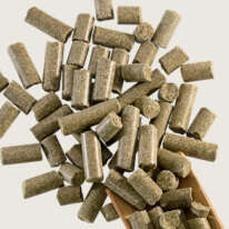 blubble navi derby leckerli hover